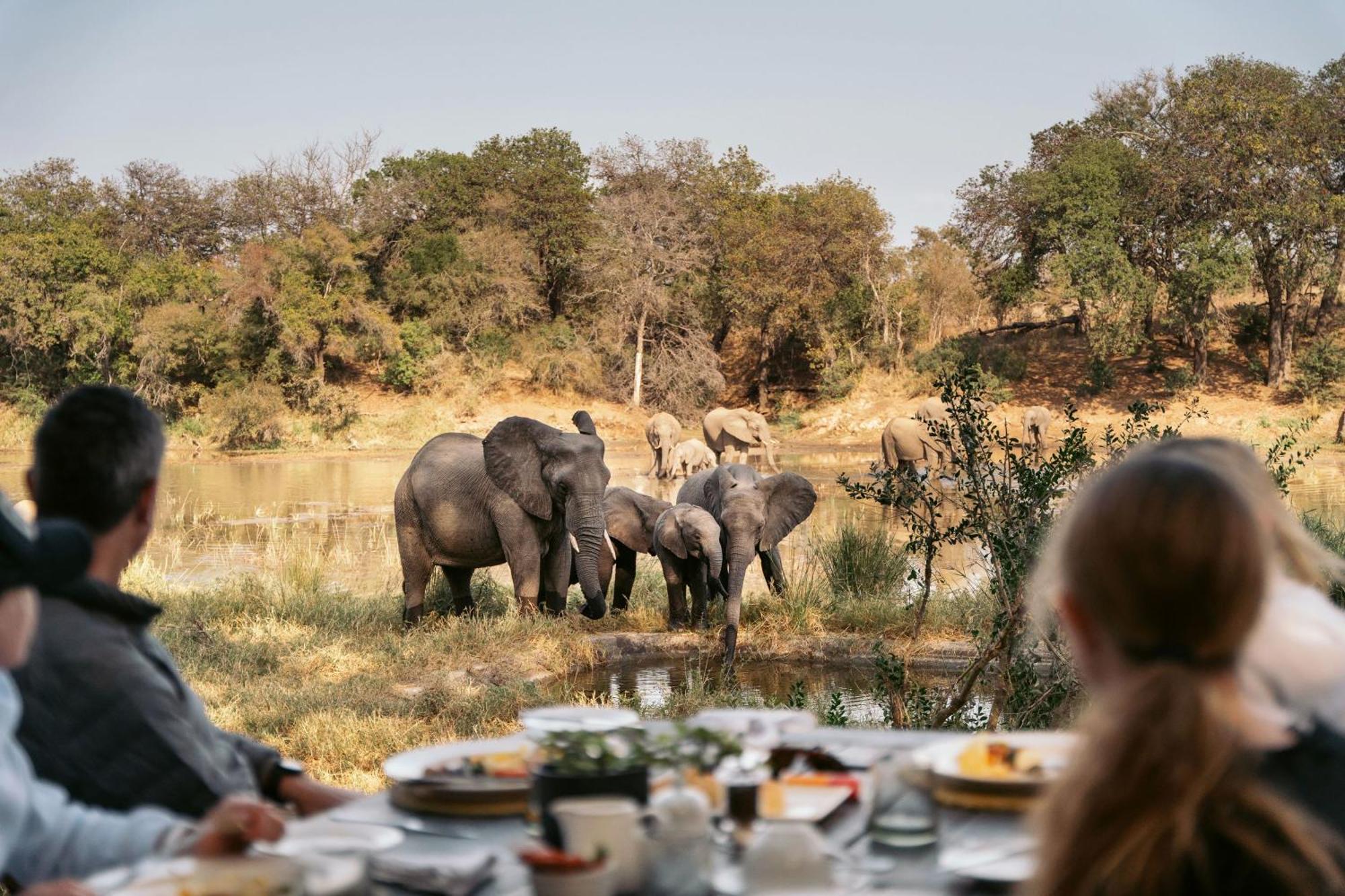 Simbavati River Lodge Timbavati Game Reserve Luaran gambar