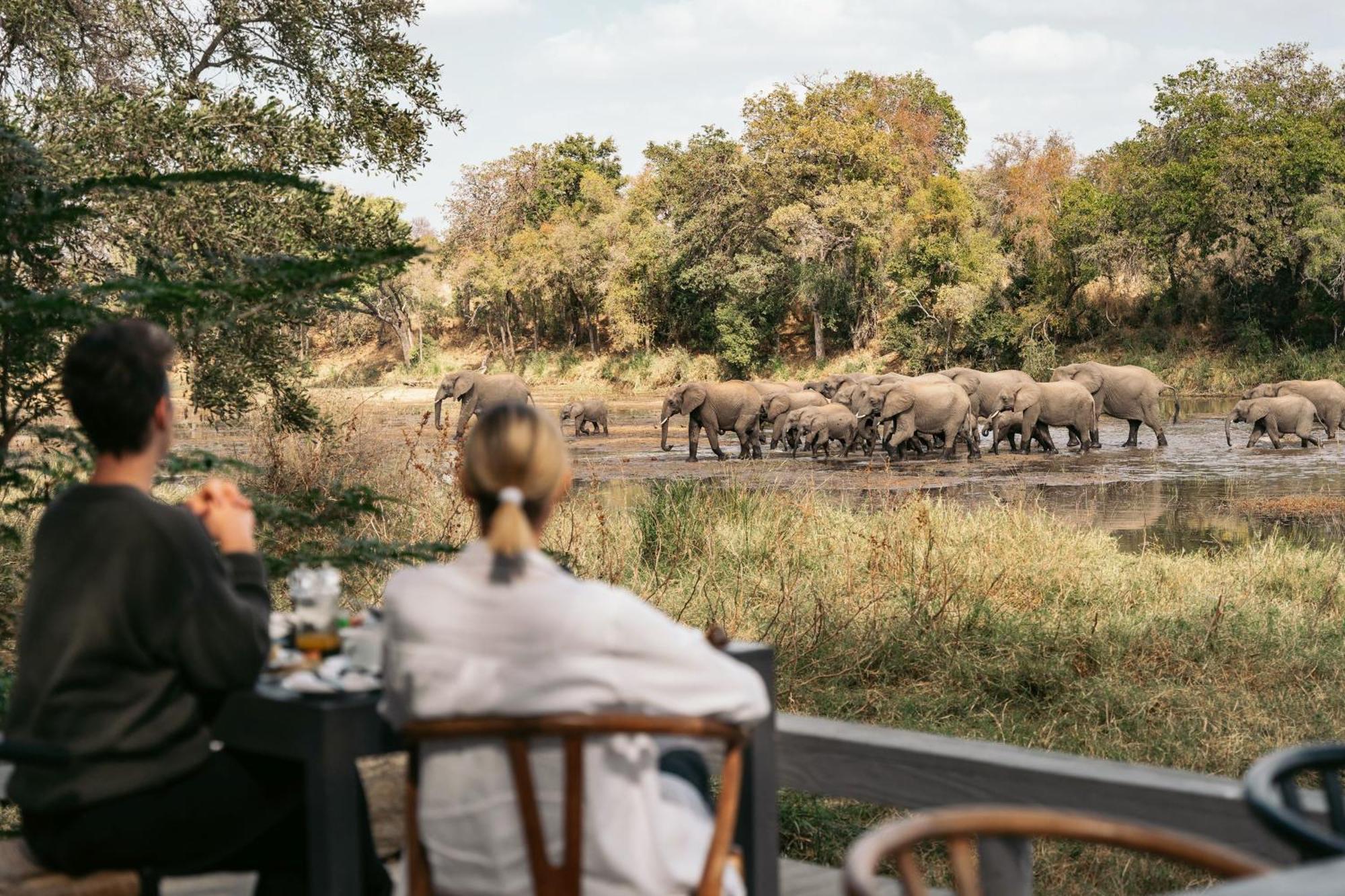 Simbavati River Lodge Timbavati Game Reserve Luaran gambar