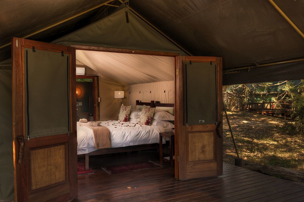 Simbavati River Lodge Timbavati Game Reserve Luaran gambar