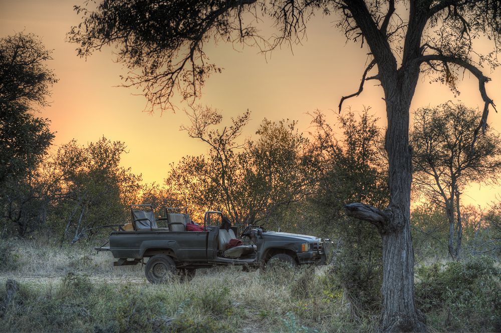 Simbavati River Lodge Timbavati Game Reserve Luaran gambar